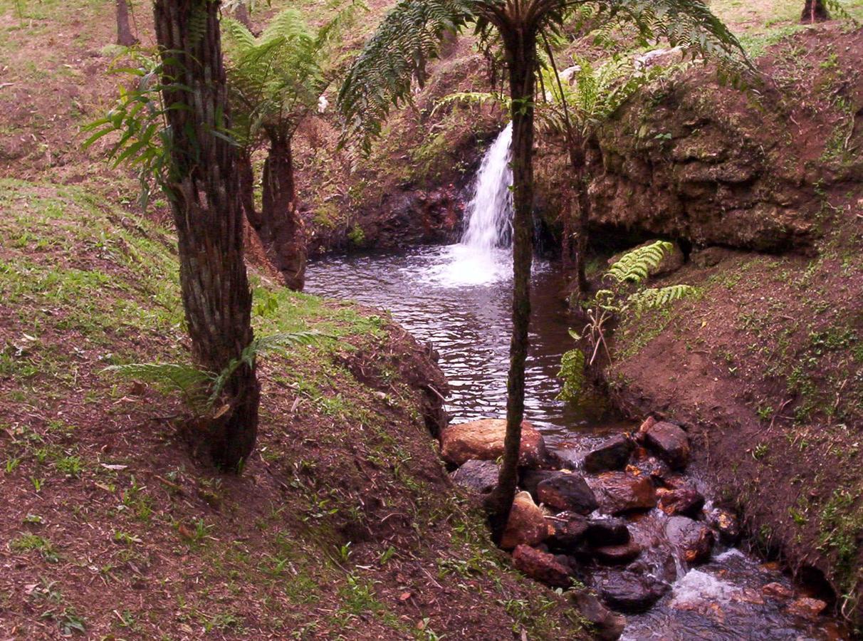 Pousada Do Morro Verde Carvalhos Dış mekan fotoğraf